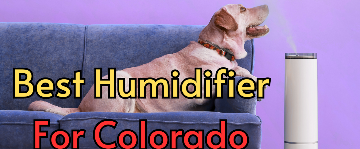 Best-Humidifier-For-Colorado.png